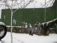 Washing hanging in the snow